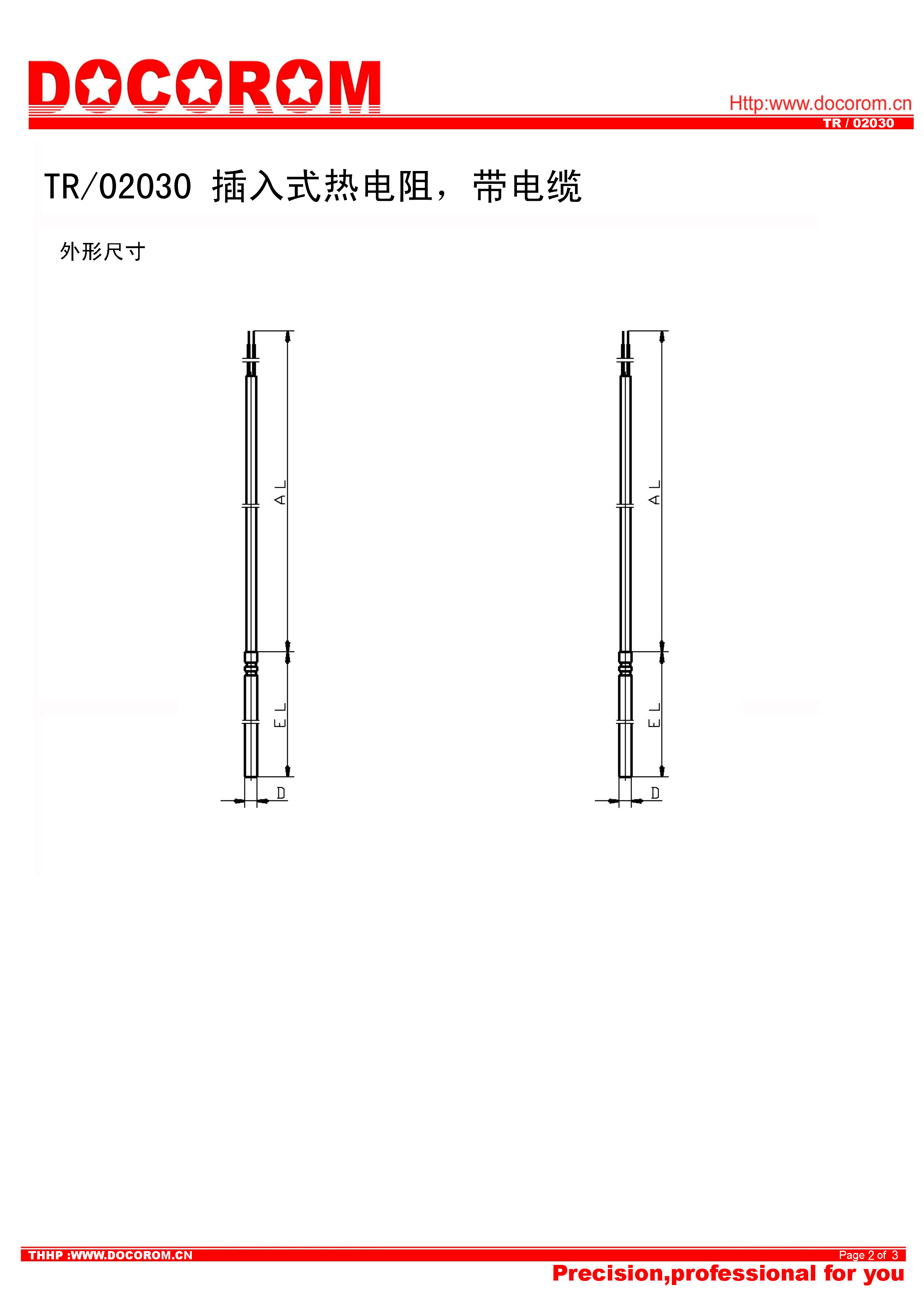 TR02030-插入式熱電阻，帶電纜-2.jpg